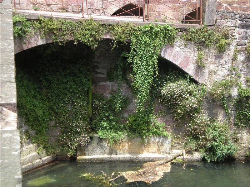 Original image